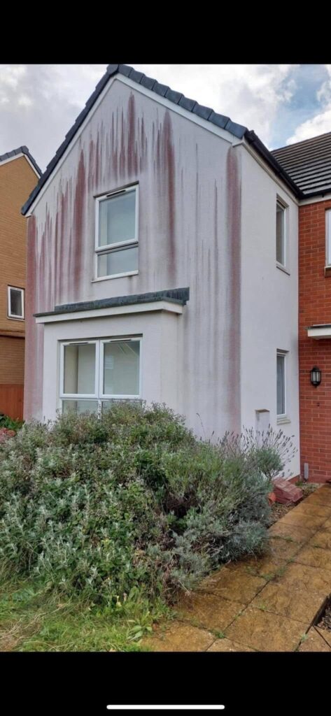 Professional wall cleaning - before