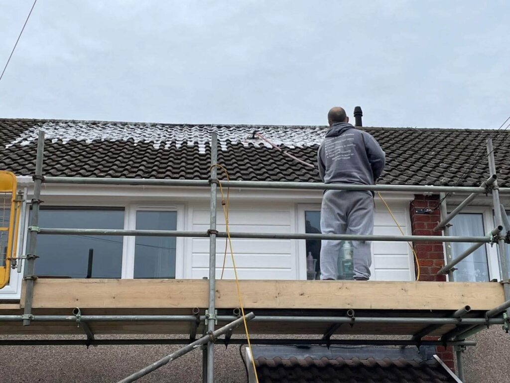 Professional roof cleaning